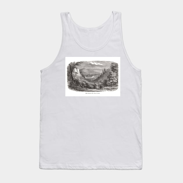 Vale of Avoca, County Wicklow, Ireland, 19th century engraving Tank Top by artfromthepast